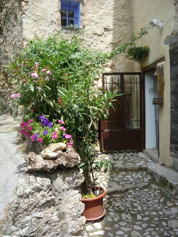 Le Pra De Pe Bed & Breakfast Cotignac Ngoại thất bức ảnh